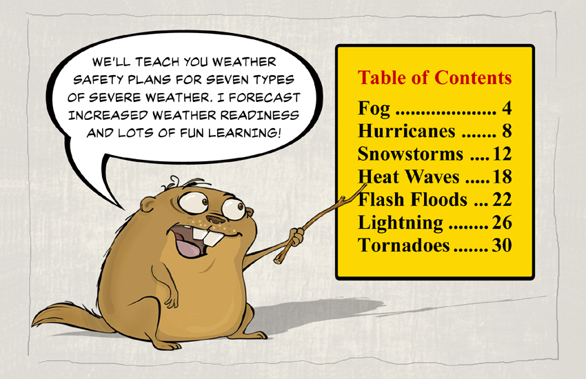 New Table of Contents copy