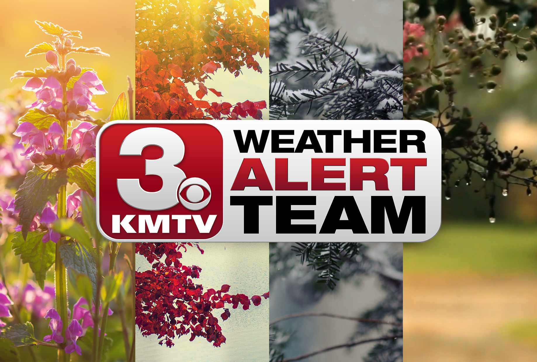 Weather Book Generic 2023b